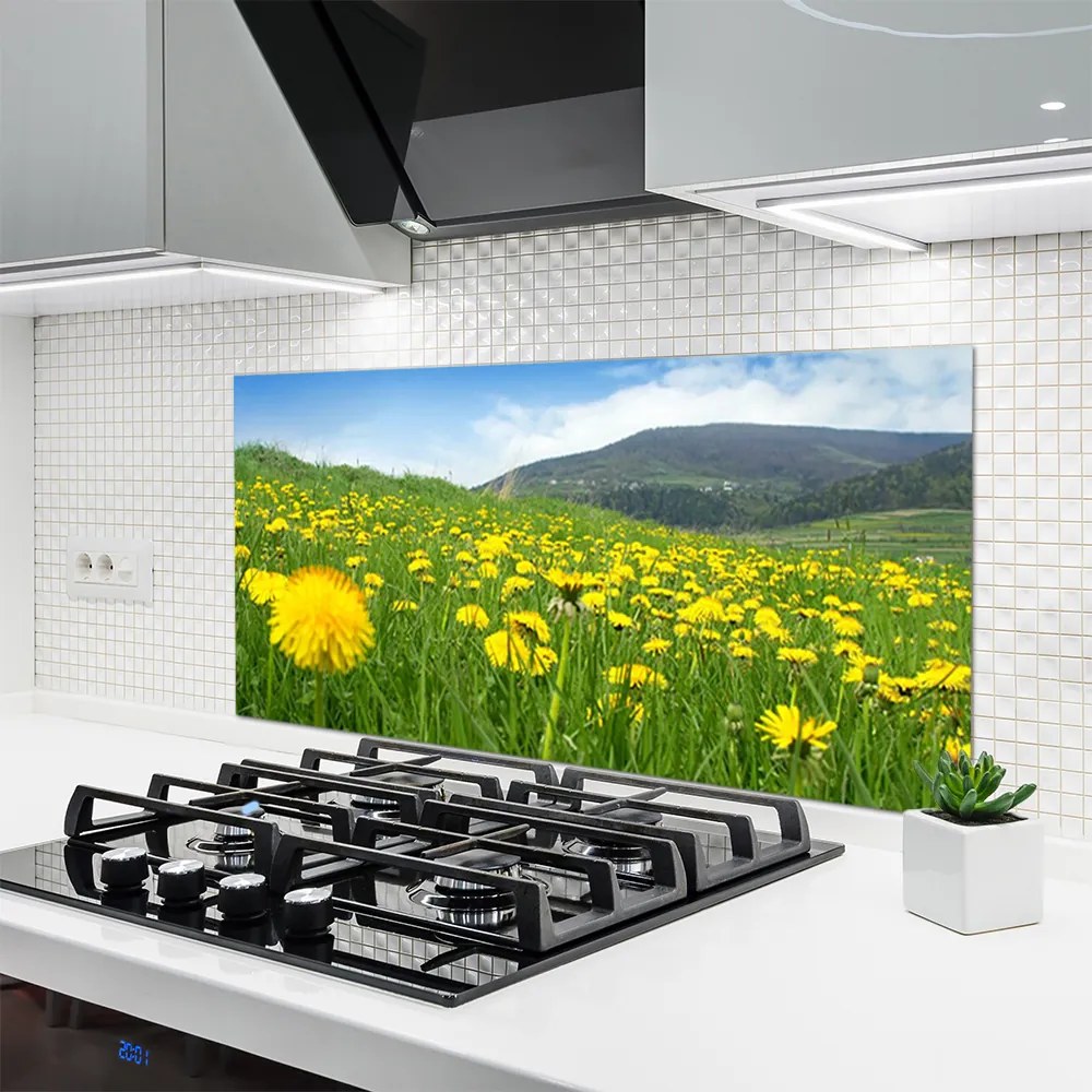 Szkło do Kuchni na Ścianę Polny Urok Mniszka