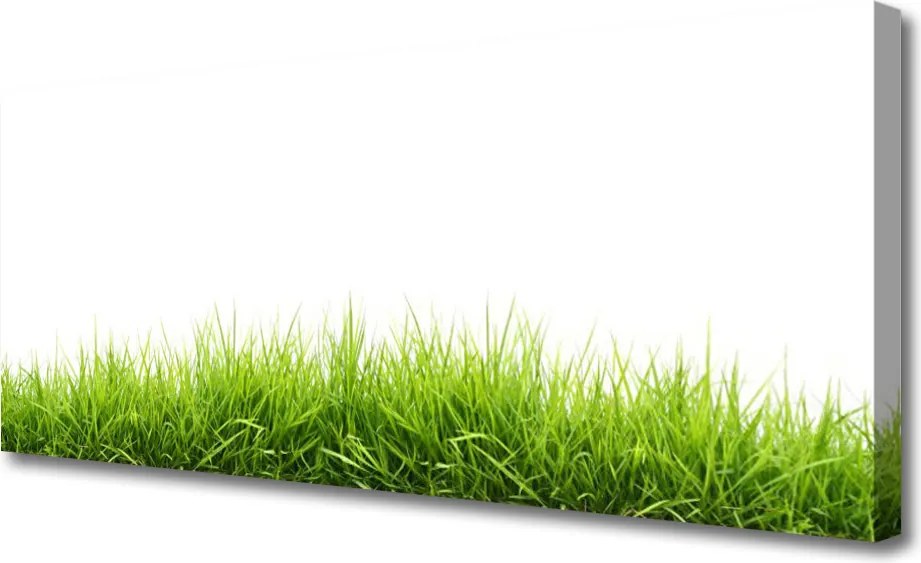 Zdjęcie na płótnie Naturalny Dywan Trawy