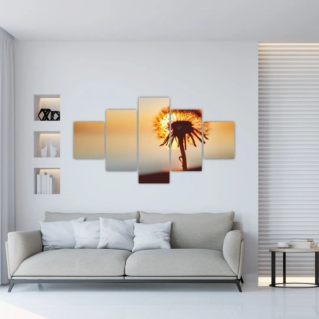 Obraz dmuchawca o zachodzie słońca (125x70 cm)