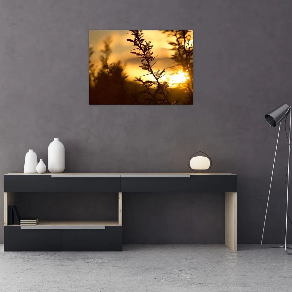Obraz - słońce zachodzące za drzewami (70x50 cm)