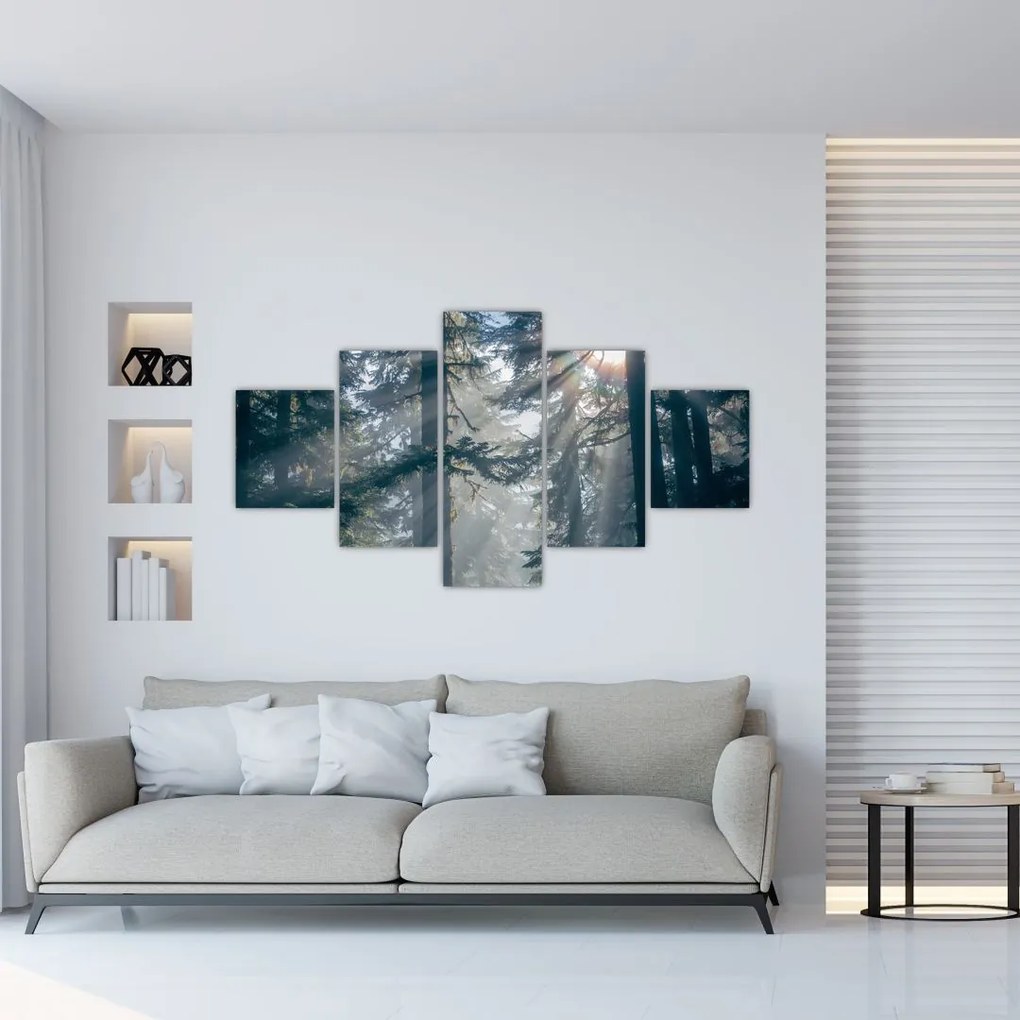 Obraz drzew, przez które prześwieca słońce (125x70 cm)
