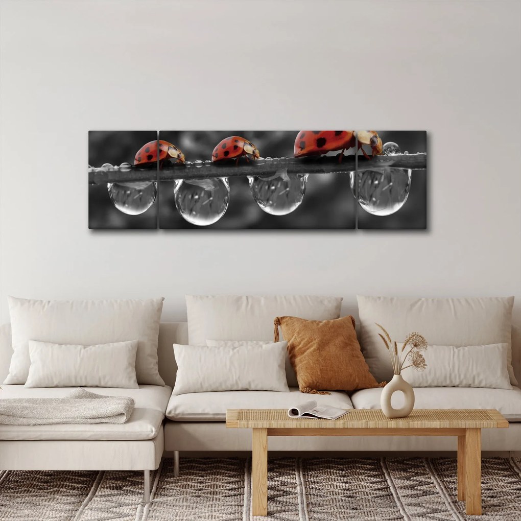Obraz - Słonecznik, czarno-biały (170x50 cm)