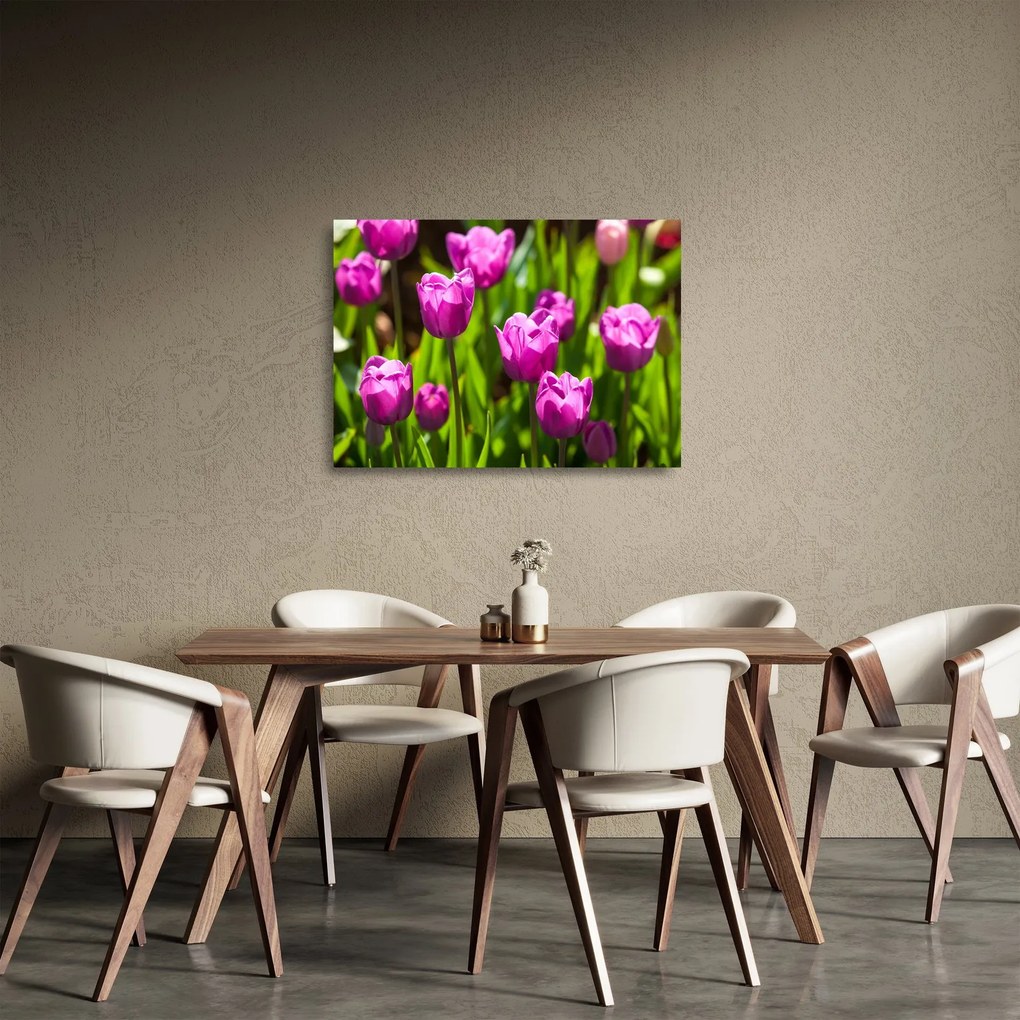 Obraz na szkle - tulipany na łące (70x50 cm)