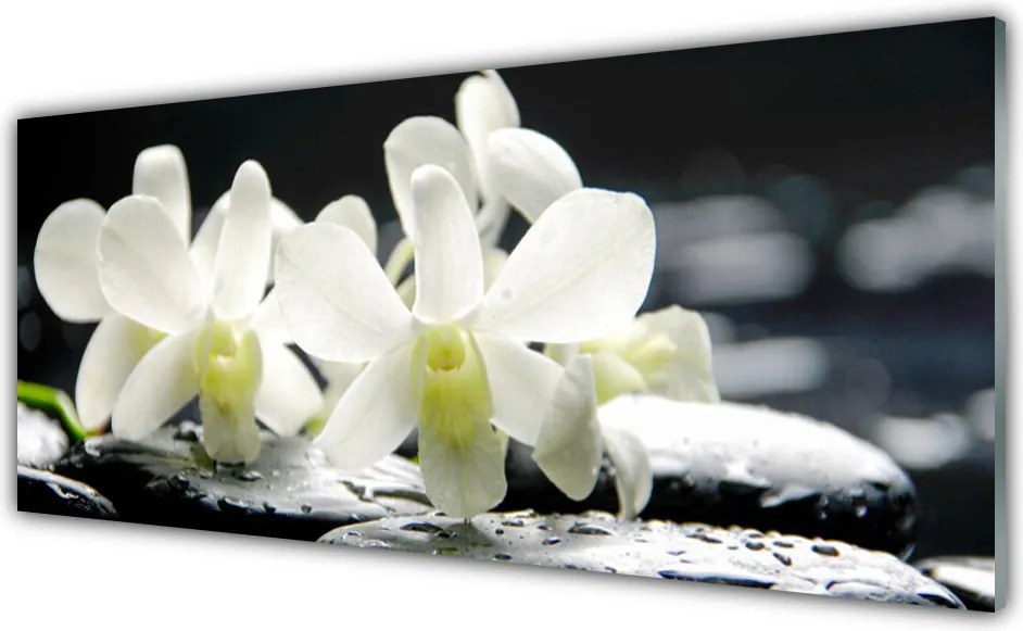 Szkło Ozdobne do Kuchni Orchidea na Rzecznych Kamieniach