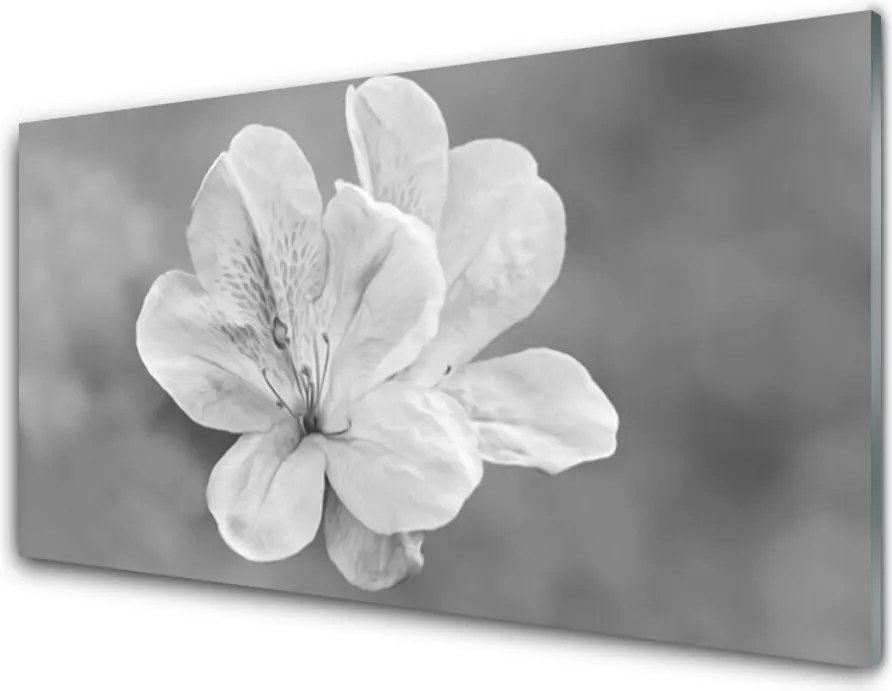 Panel Kuchenny Kolorowy Ogród Na Szkle