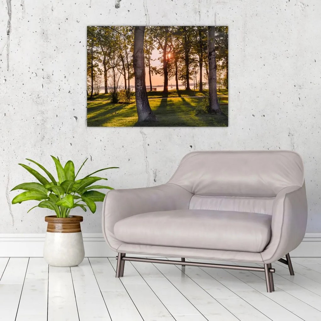 Obraz na szkle - drzewa nad jeziorem (70x50 cm)