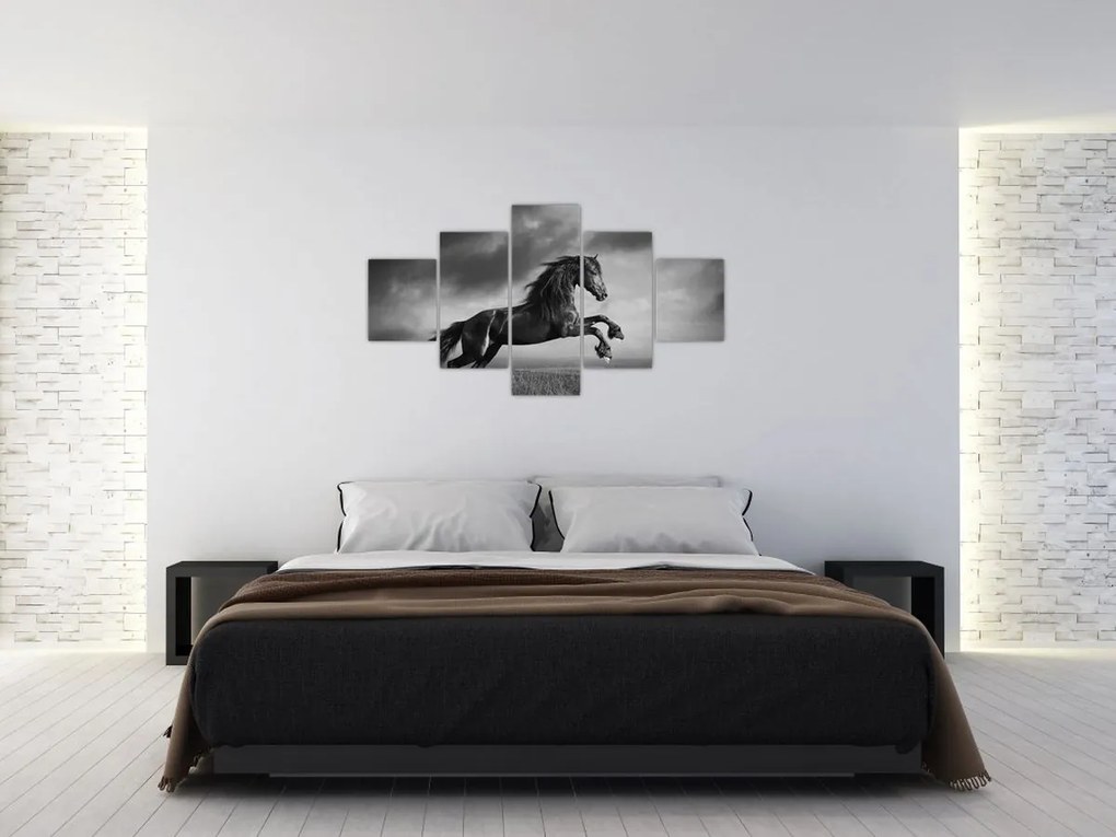 Obraz - Czarny i biały koń (125x70 cm)