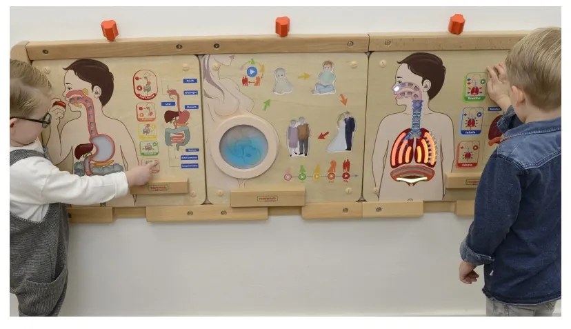 Masterkidz tablica edukacyjna układ oddechowy montessori