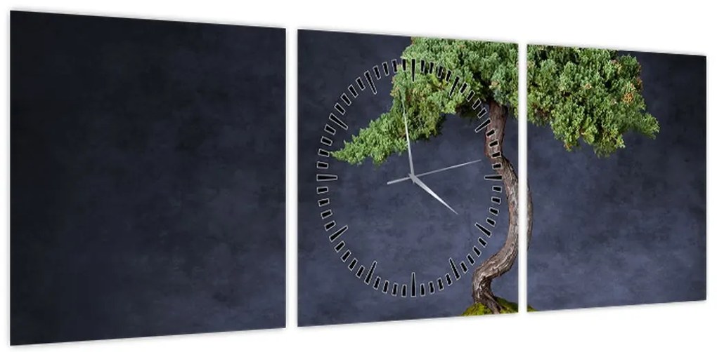 Obraz - Bonsai (z zegarem) (90x30 cm)
