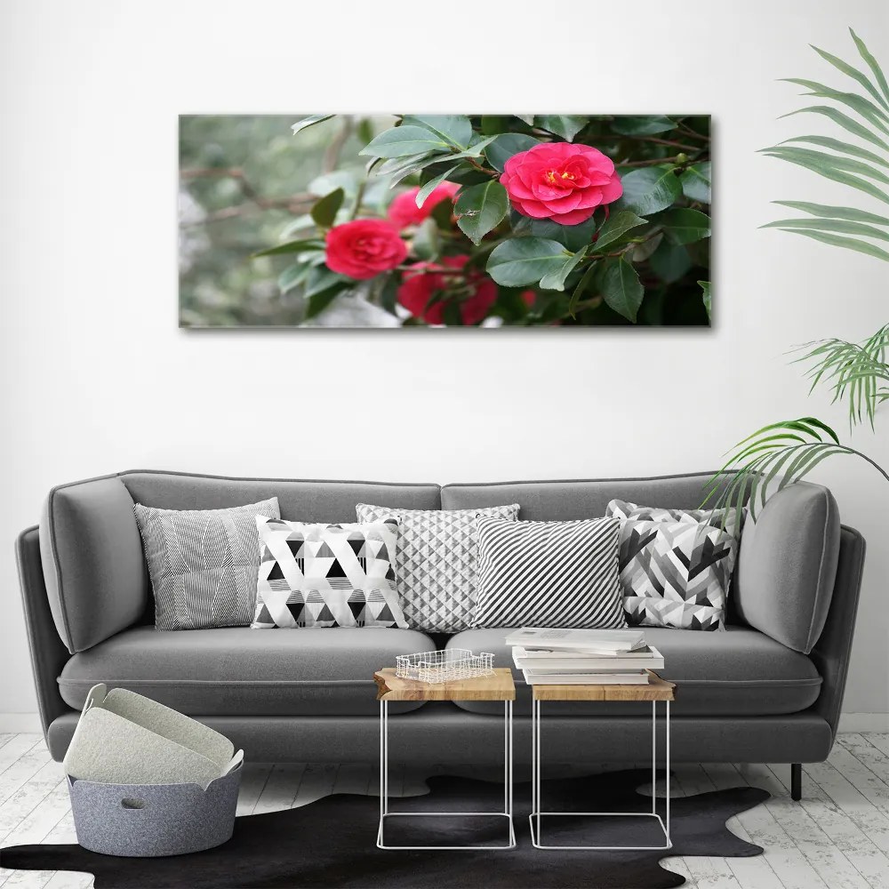 Foto obraz canvas Kamelia
