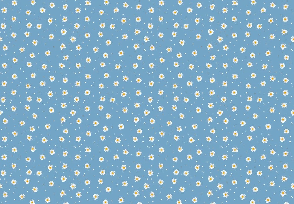 Fototapeta - Stokrotki (196x136 cm)