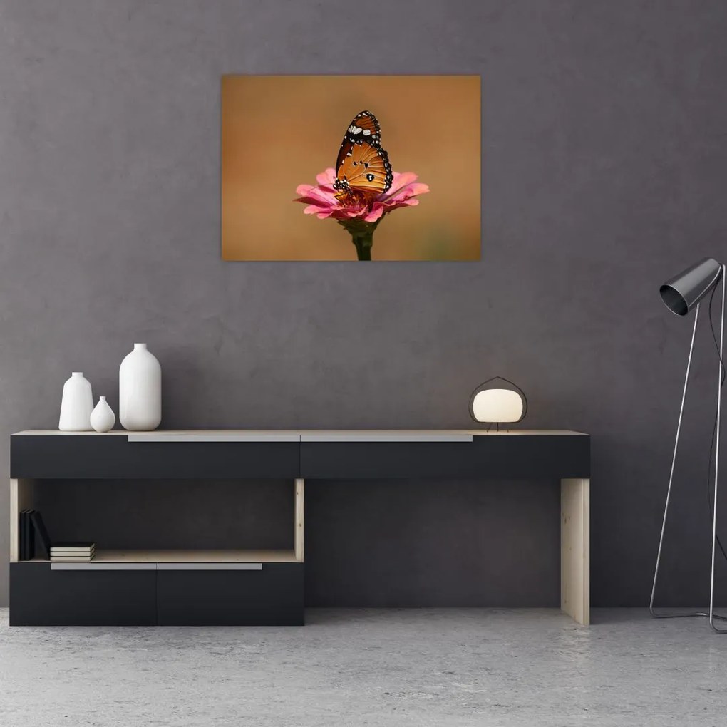 Obraz motyla na kwiatku (70x50 cm)