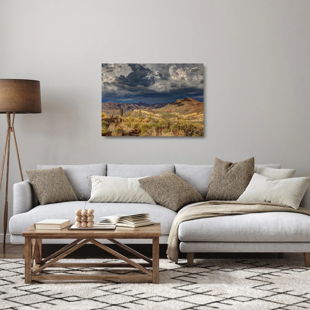 Obraz na szkle - kaktusy w przyrodzie (70x50 cm)