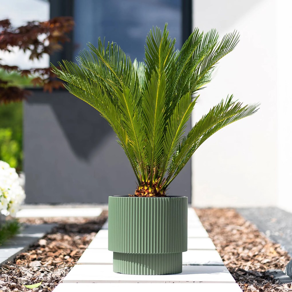 Donica ogrodowa z wkładem Milly 39,5 x 39,5 x 37,5 cm zielona pinia PROSPERPLAST