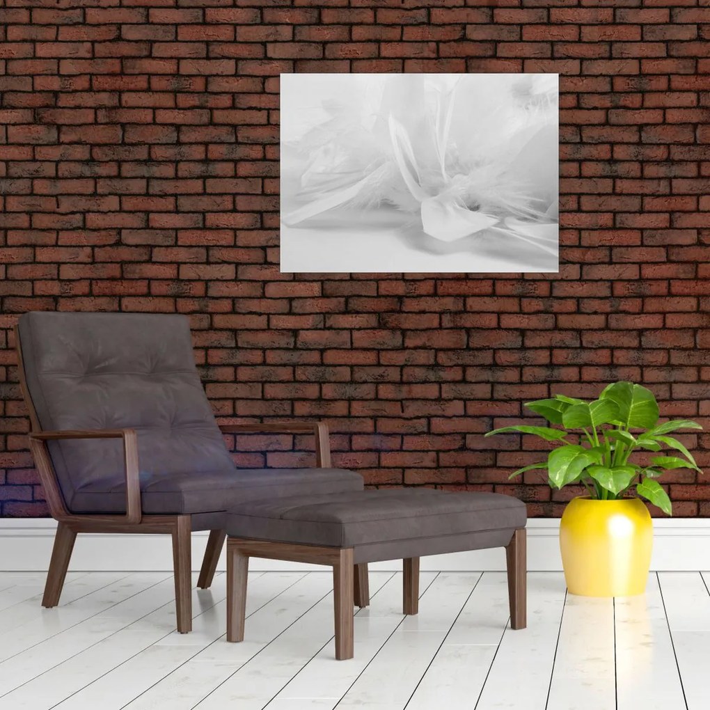 Obraz na szkle - Pióra (70x50 cm)