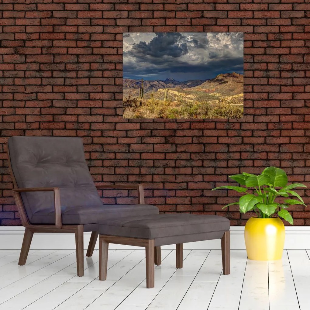 Obraz - kaktusy w przyrodzie (70x50 cm)