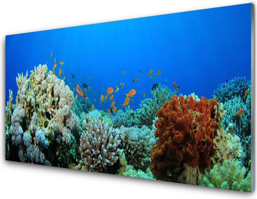 Panel Szklany do Kuchni Kolorowe Życie Oceanu