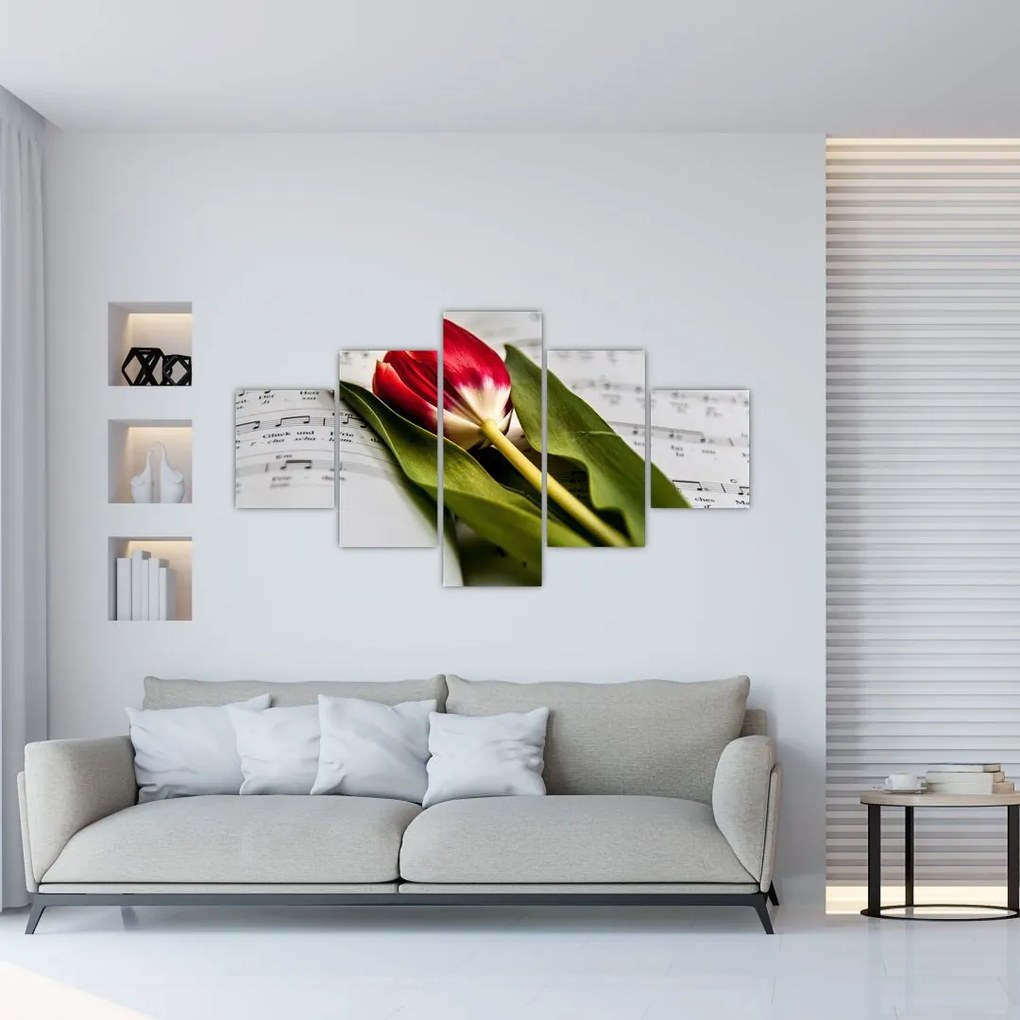 Obraz czerwonego tulipana (125x70 cm)