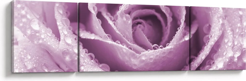 Obraz szczegółu kwiatu róży (170x50 cm)