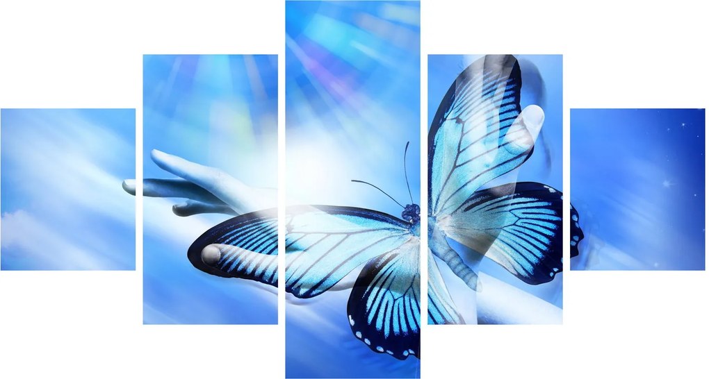 Obraz - Motyl, symbol nadziei (125x70 cm)