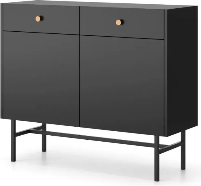 Alderia 2D2S – nowoczesna komoda do salonu i sypialni, dostępna w 2 kolorach