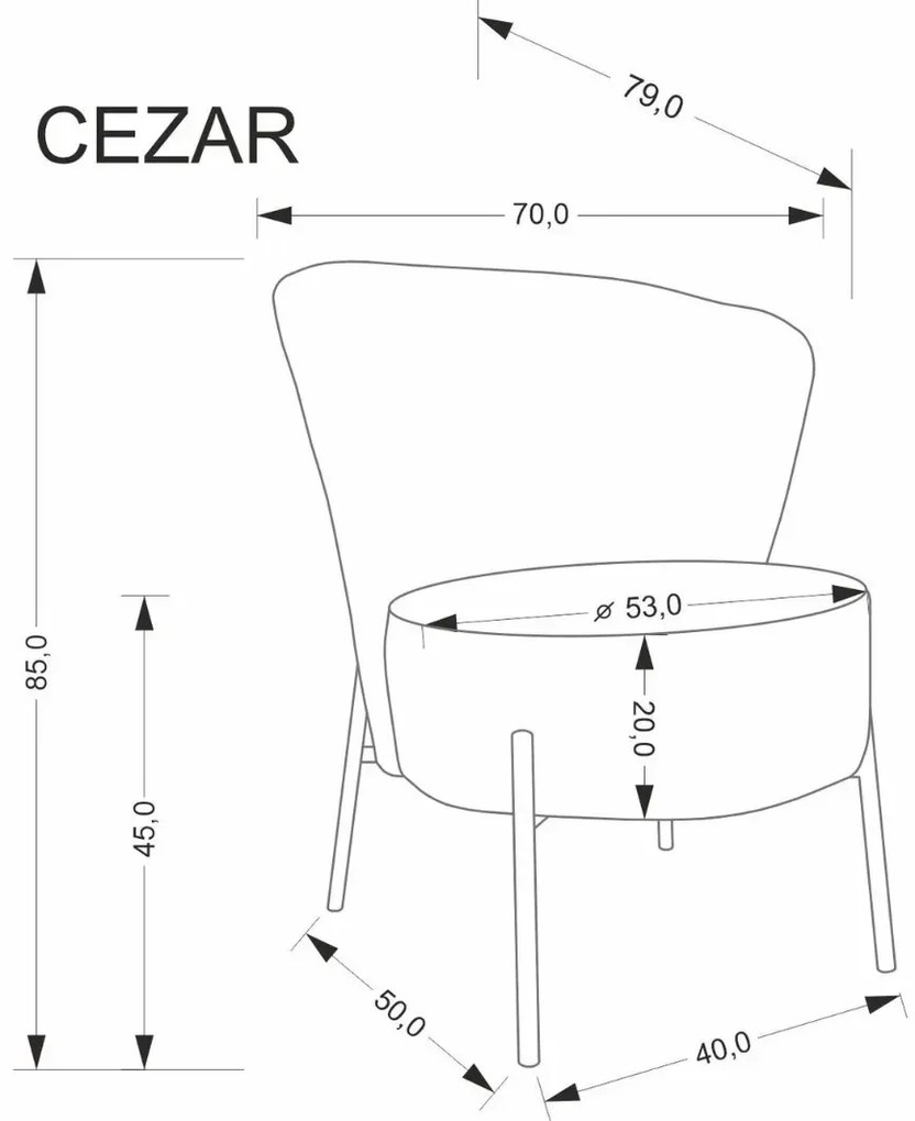 Fotel do salonu CEZAR beżowy HALMAR