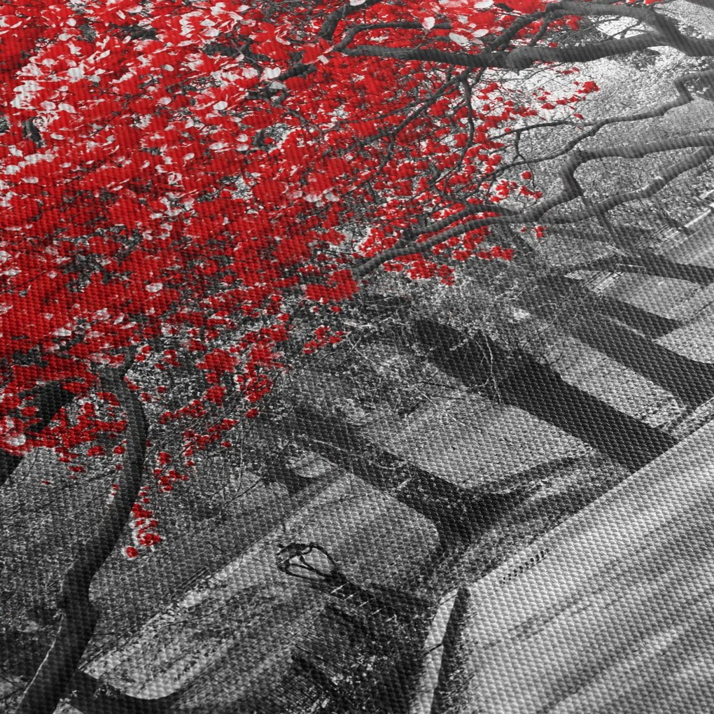 Obraz - Czerwone drzewa, Central Park, New York (125x70 cm)