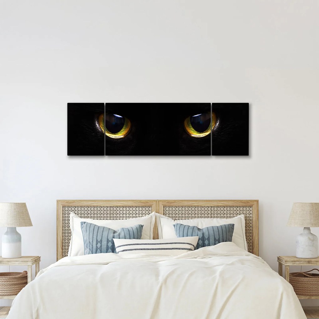 Obraz - Kocie oczy (170x50 cm)