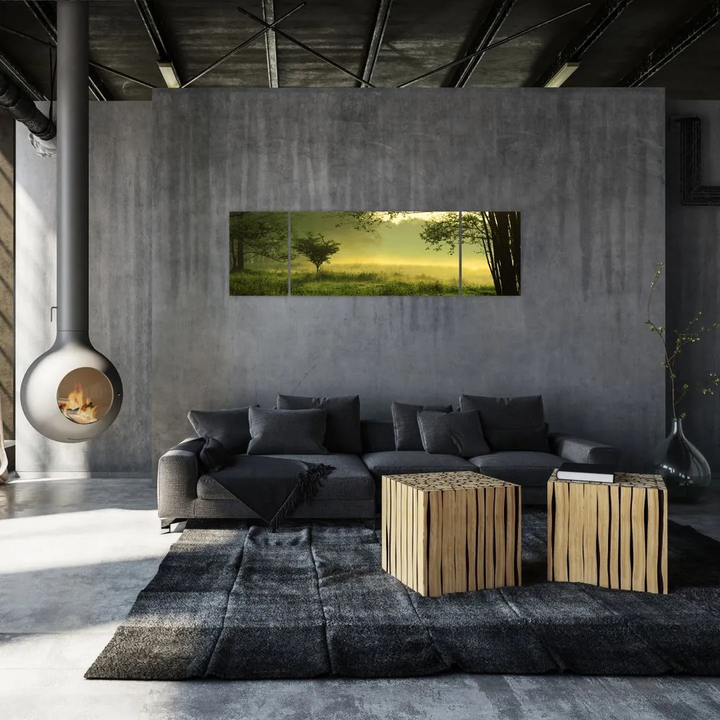 Obraz - Budzący się las (170x50 cm)