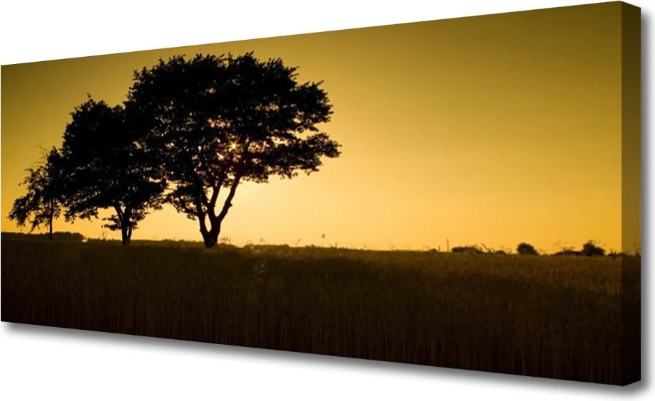 Zdjęcie na płótnie Naturalna Gęstwina Parkowa