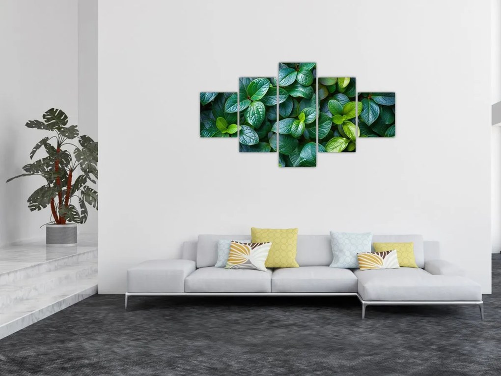 Obraz - Rośliny zielone (125x70 cm)