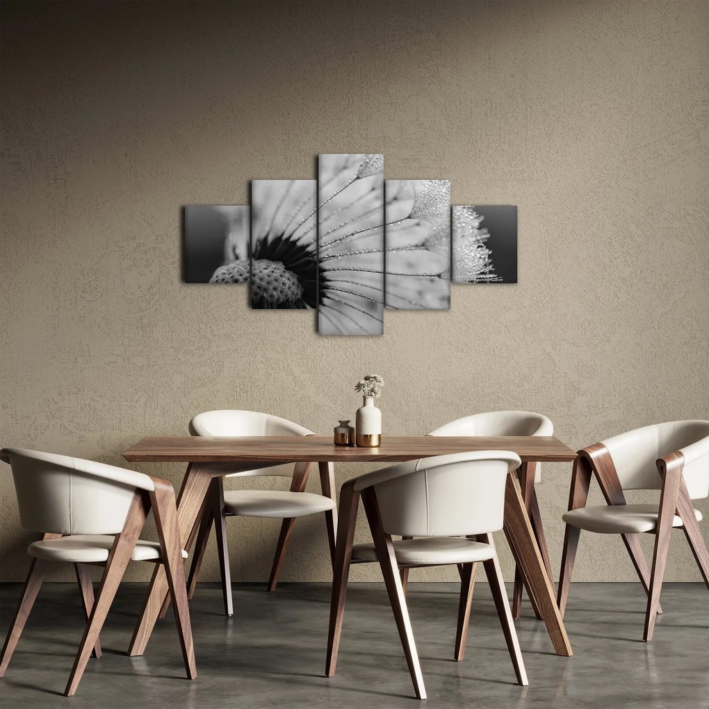 Obraz dmuchawca, czarno - biały (125x70 cm)