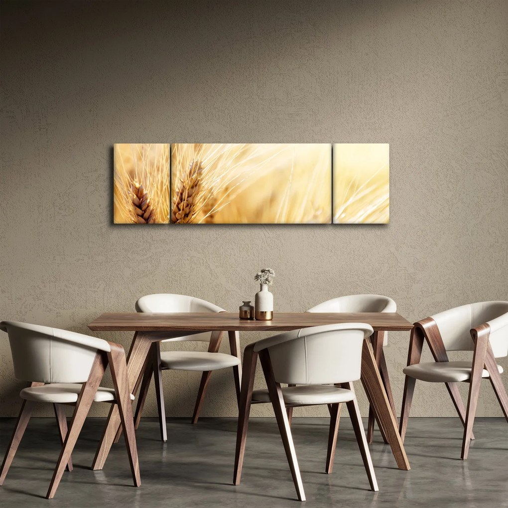 Obraz - szczegóły ziarna (170x50 cm)