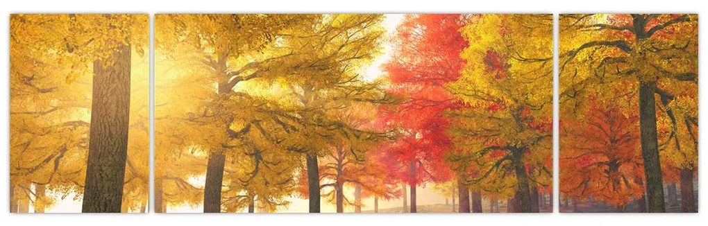 Obraz jesiennych drzew (170x50 cm)