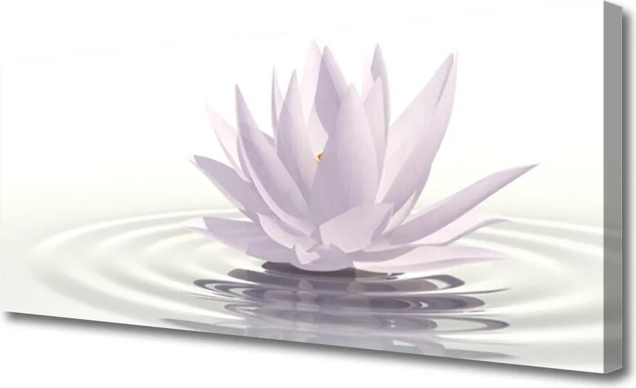 Obraz na płótnie Kwiat Lotosu na Wodzie