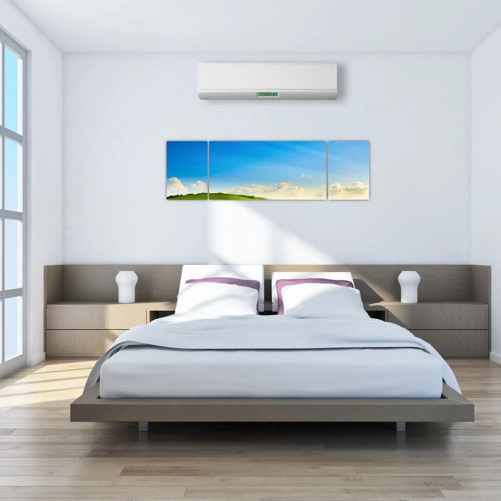 Obraz - Wiosenne niebo (170x50 cm)