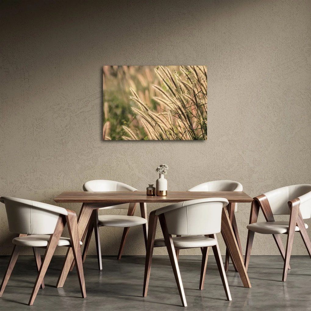 Obraz - Ziarno (70x50 cm)