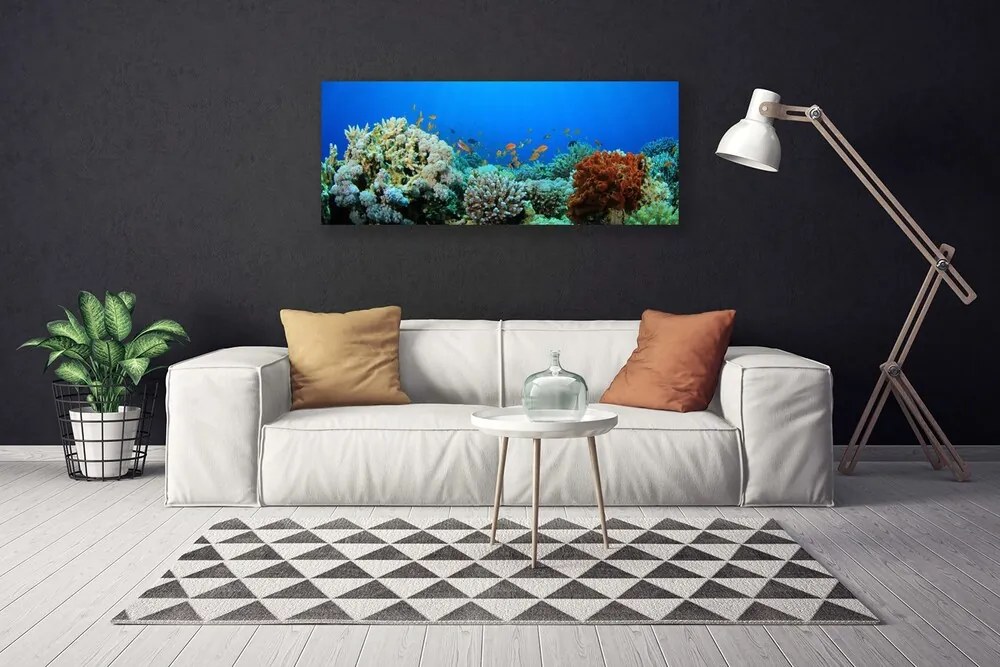 Obraz canvas Kolorowe Życie Oceanu