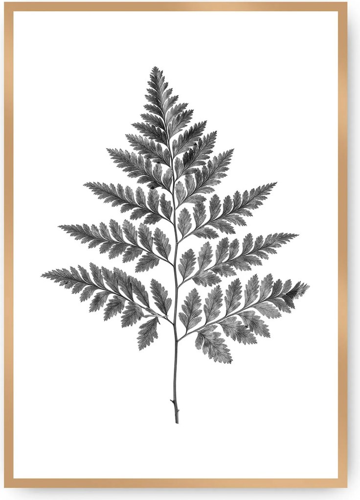 Plakat Fern Grey