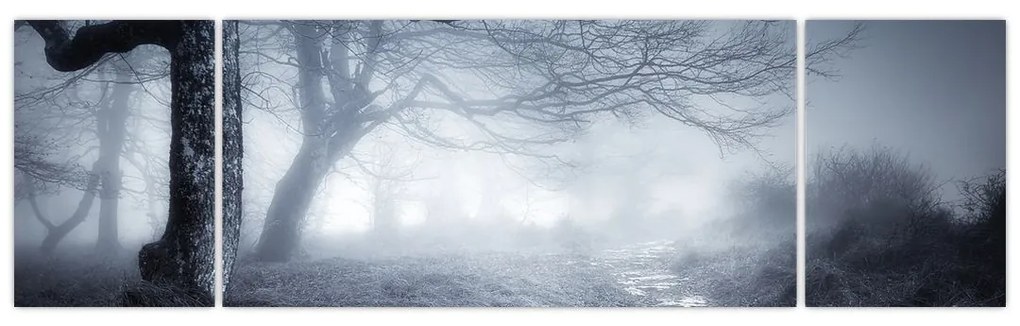 Obraz- Droga we mgle (170x50 cm)