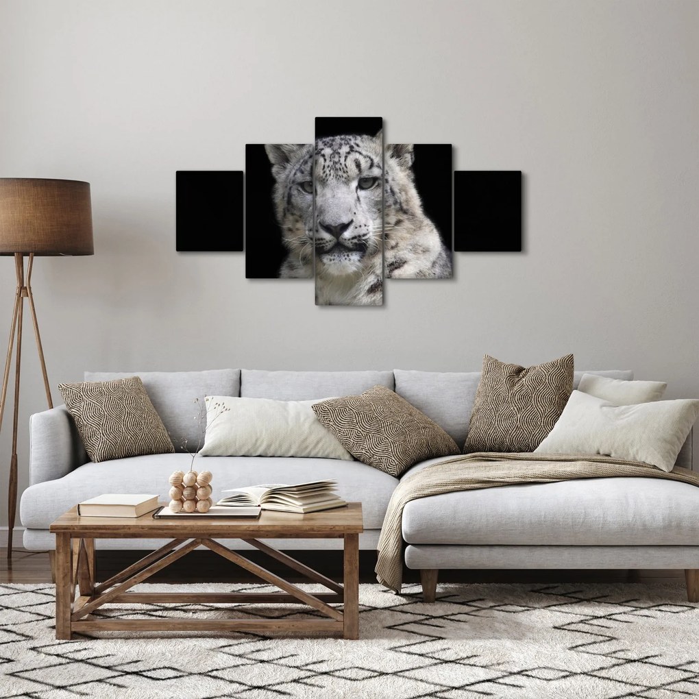 Obraz - Snow Leopard (125x70 cm)