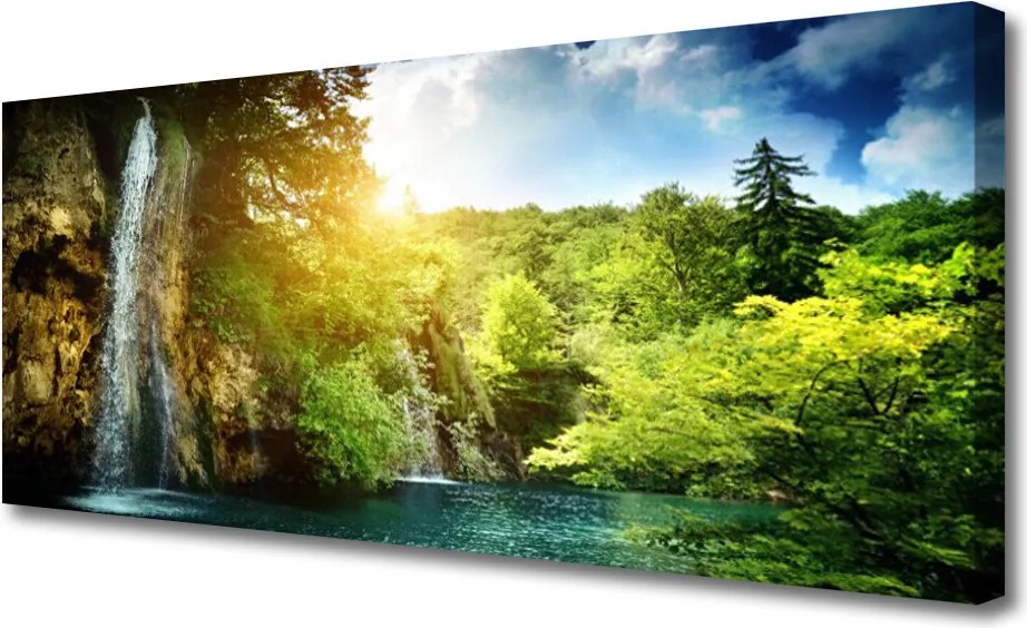 Obraz na płótnie Leśna Kaskada Wodna