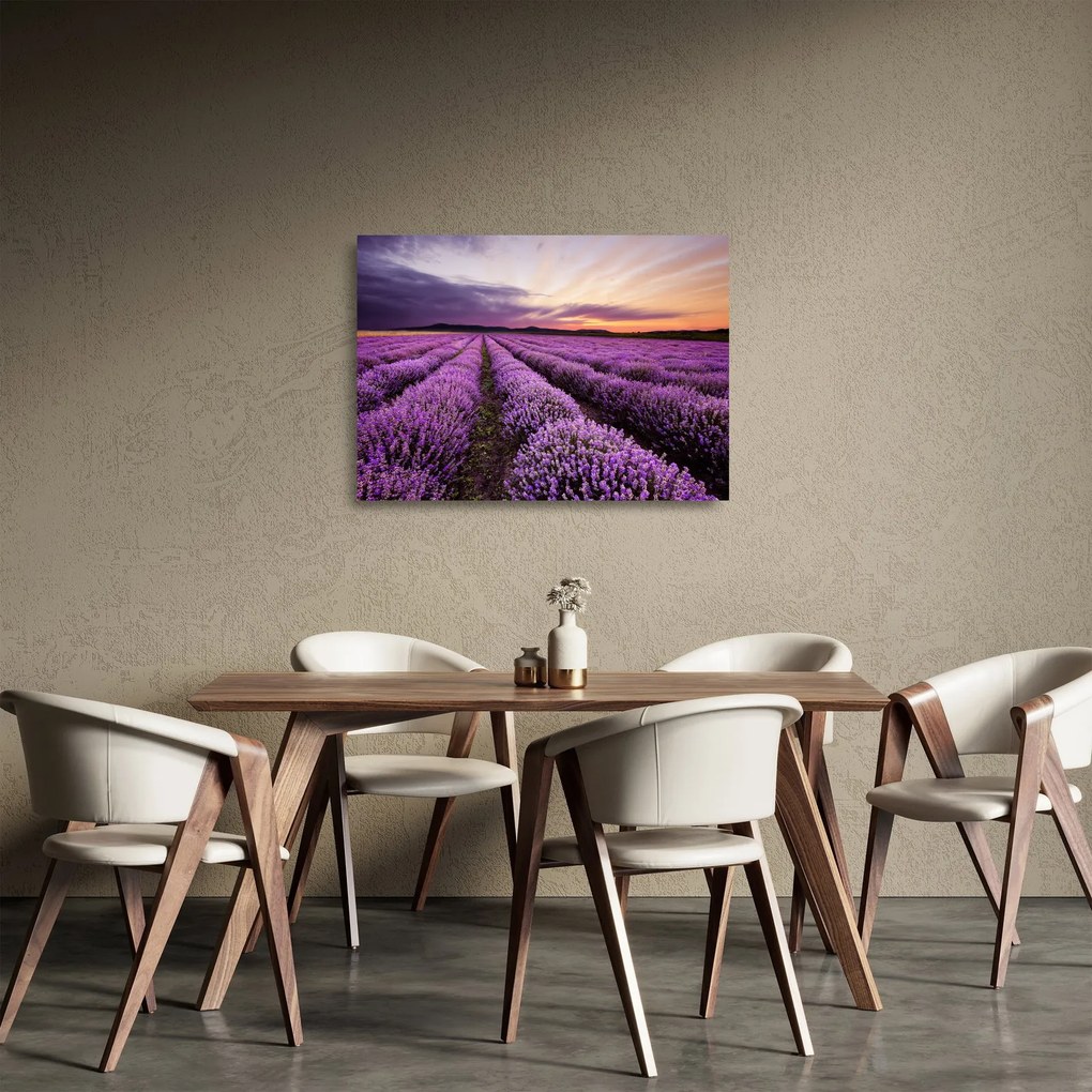 Obraz na szkle - Pole lawendy o zachodzie słońca (70x50 cm)