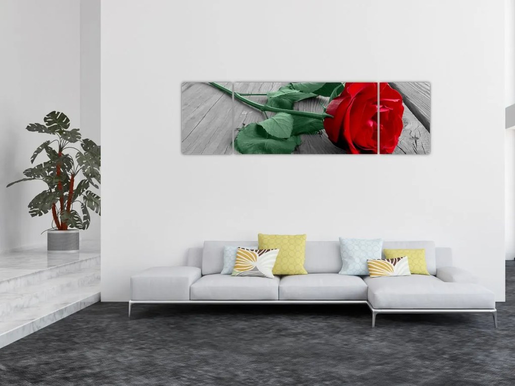 Obraz - Czerwona róża z zieloną łodygą (170x50 cm)