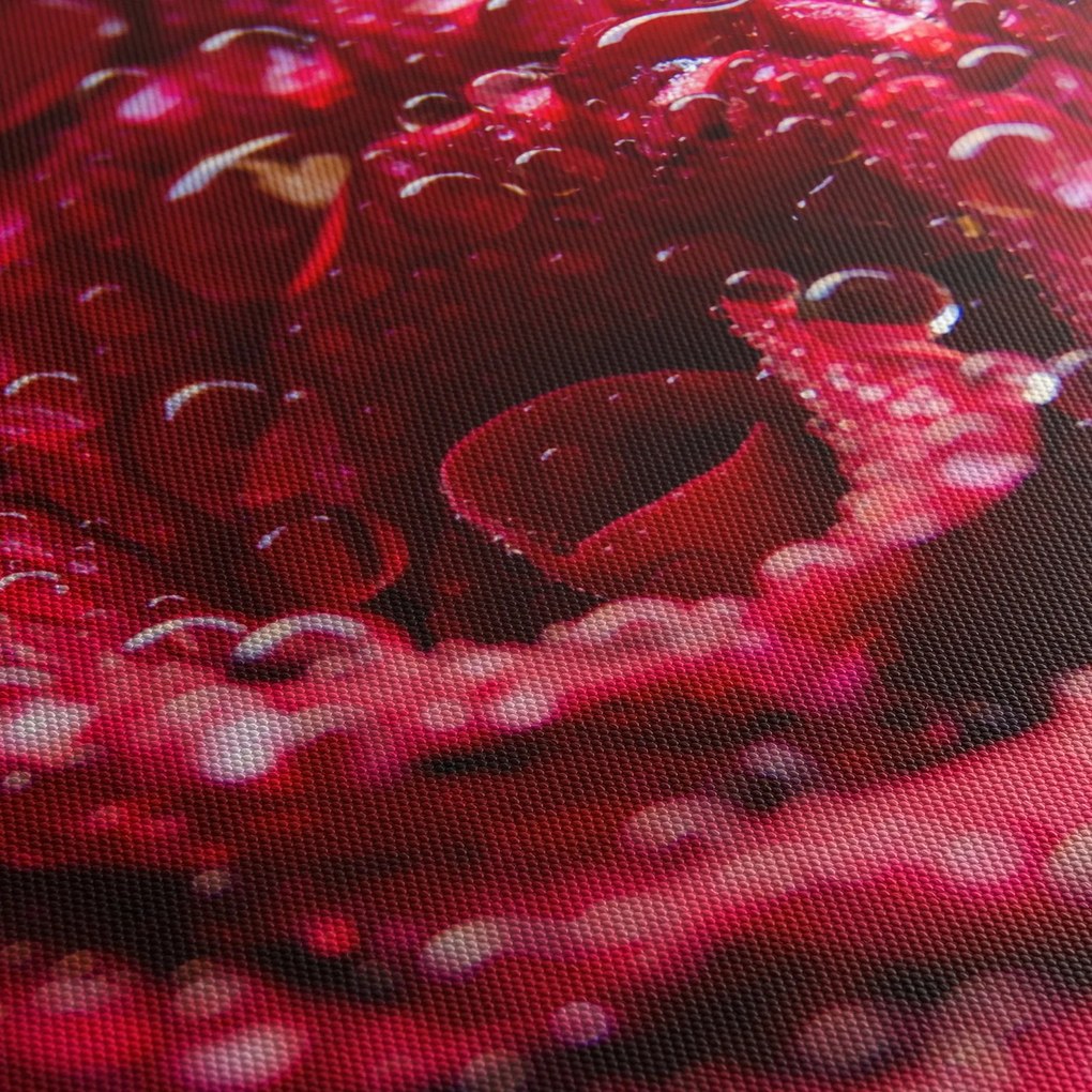 Obraz czerwonego kwiatu róży (170x50 cm)