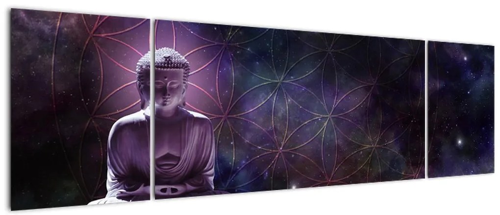 Obraz - Budda z kwiatami życia (170x50 cm)