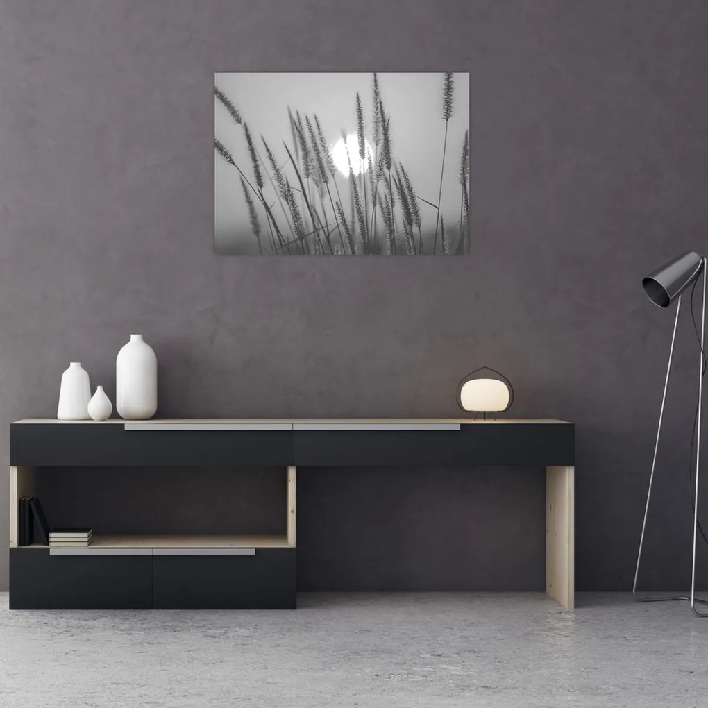 Obraz - Łąka o zachodzie słońca (70x50 cm)