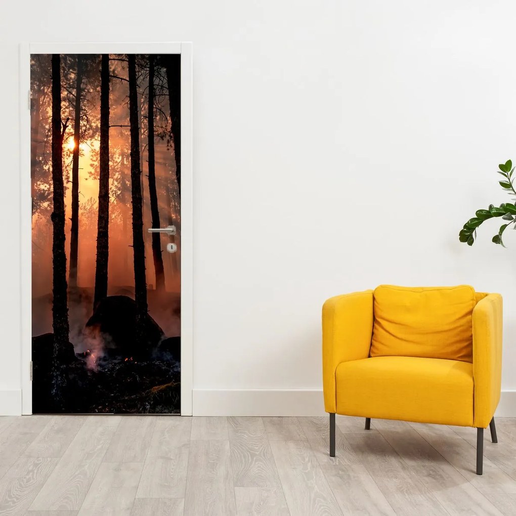 Fototapeta na drzwi - Ciemny las (95x205cm)