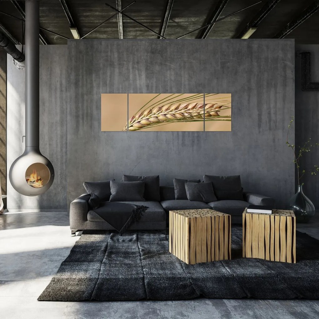 Obraz - Pszenica (170x50 cm)