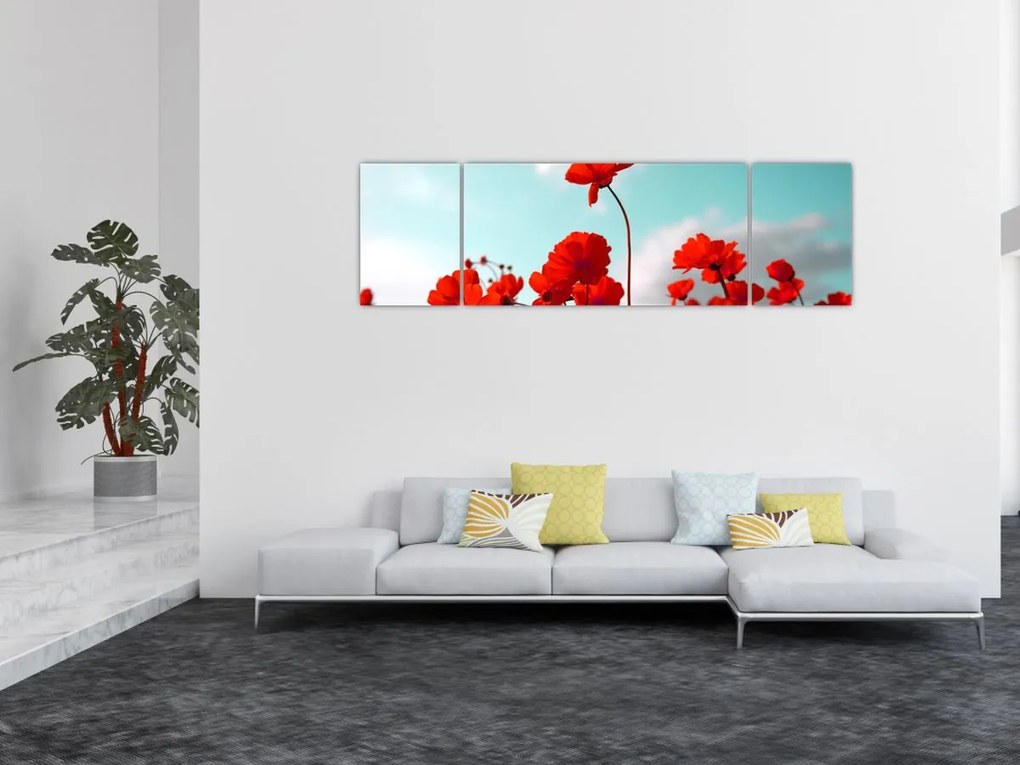 Obraz pola z jasnoczerwonymi kwiatami (170x50 cm)